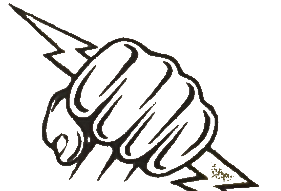 Volte-pro logo